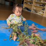 PXL_20251021_005123027.PORTRAIT