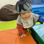 PXL_20251113_010703186.PORTRAIT