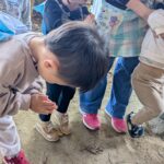 PXL_20251114_005255299