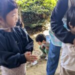 PXL_20251114_005528269