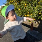 PXL_20251114_005746905