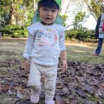 PXL_20251114_011853469