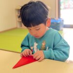 PXL_20251201_013021243.PORTRAIT