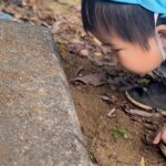 PXL_20251202_011334818.PORTRAIT