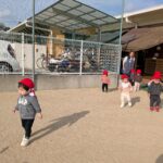 PXL_20251210_010539869