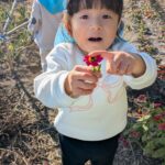 PXL_20251211_004233704