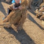 PXL_20251211_010833203