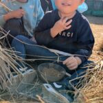 PXL_20251211_011953361