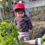 PXL_20251219_010218199