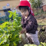 PXL_20251219_010243224