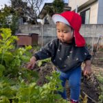 PXL_20251219_010451975