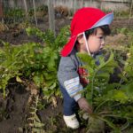 PXL_20251219_010738606