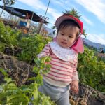 PXL_20251219_011732891