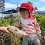 PXL_20251219_011813338