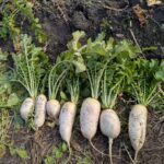 PXL_20251219_012440499