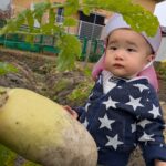 PXL_20251224_010923357