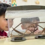 PXL_20260121_014935305.PORTRAIT