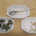 PXL_20260203_001206339.PORTRAIT