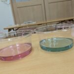 PXL_20260227_014227975