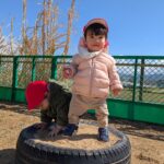 PXL_20260313_013219090